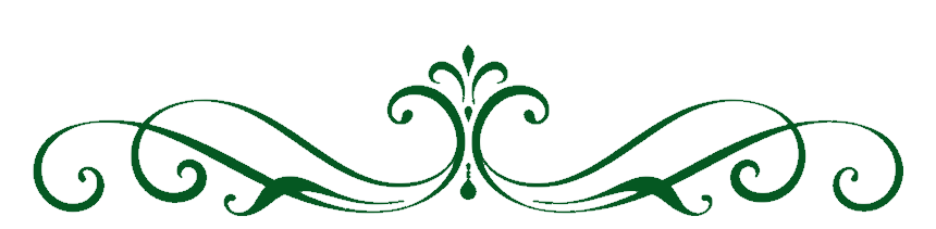 DividerCAOS-removebg-preview